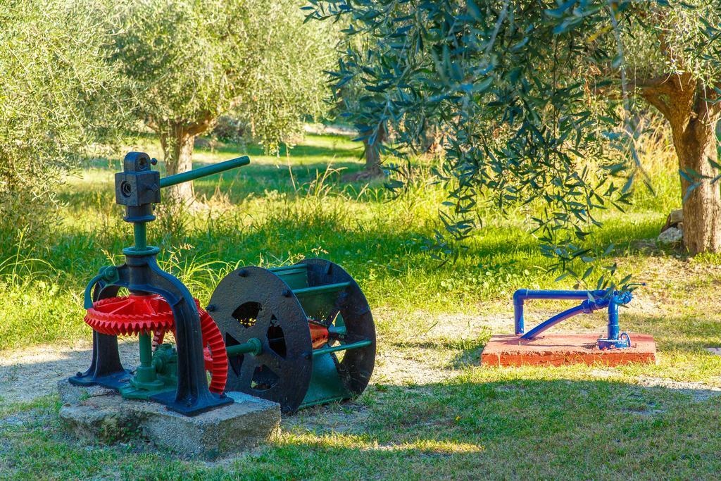 Filoxenia Apartments & Studios Θεολόγος Εξωτερικό φωτογραφία