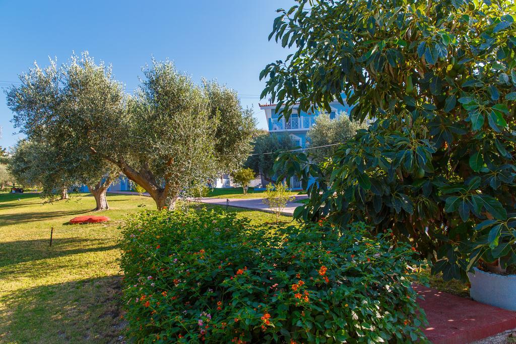 Filoxenia Apartments & Studios Θεολόγος Εξωτερικό φωτογραφία